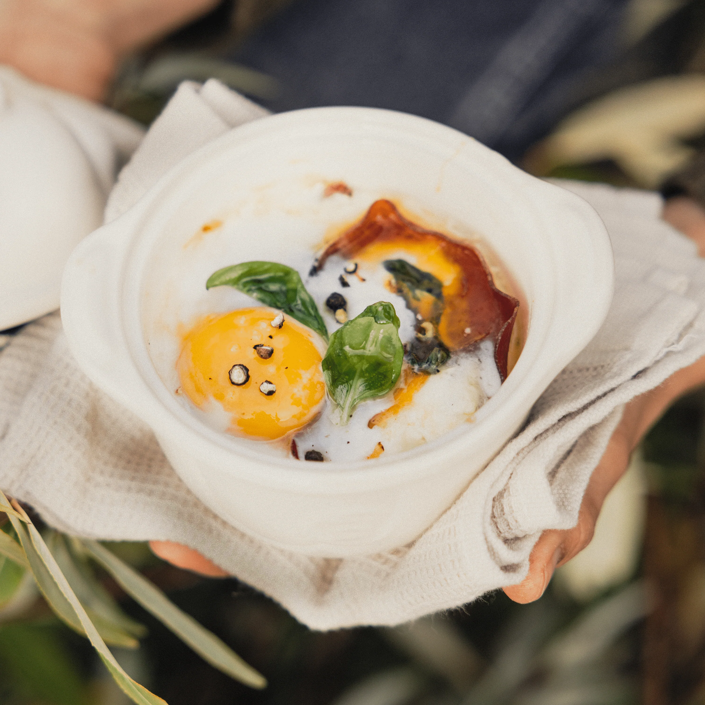 Egg Nest - Image 9